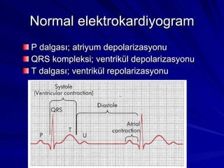 Normal elektrokardiyogram P dalgası; atriyum depolarizasyonu QRS kompleksi; ventrikül depolarizasyonu T dalgası; ventrikül repolarizasyonu 