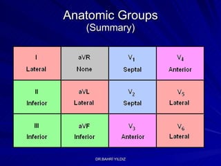 Anatomic Groups (Summary) 