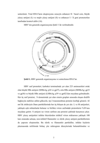 Dr.bahri  tipta uzmanlik tezi