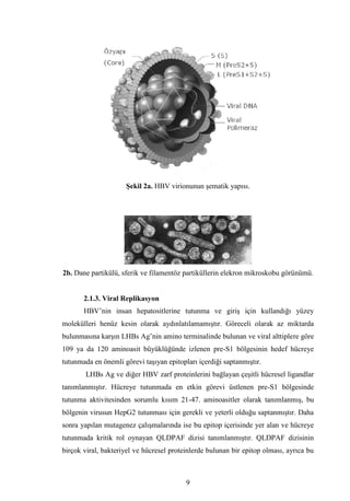 Dr.bahri  tipta uzmanlik tezi