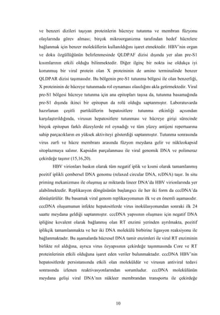 Dr.bahri  tipta uzmanlik tezi