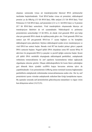 Dr.bahri  tipta uzmanlik tezi