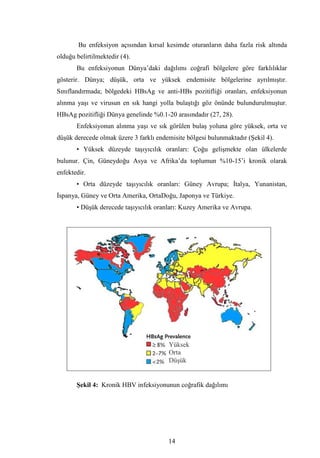 Dr.bahri  tipta uzmanlik tezi