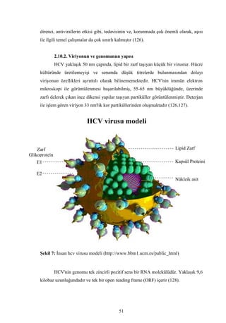 Dr.bahri  tipta uzmanlik tezi