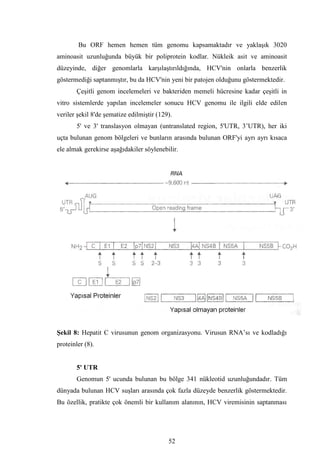 Dr.bahri  tipta uzmanlik tezi