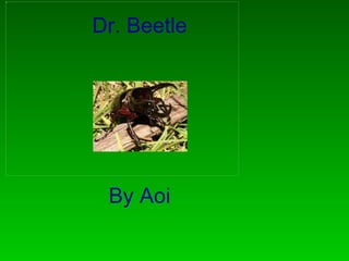 Dr. Beetle By Aoi 