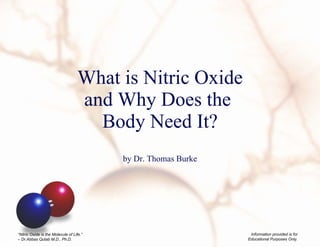What is Nitric Oxide and Why Does the  Body Need It? by Dr. Thomas Burke 