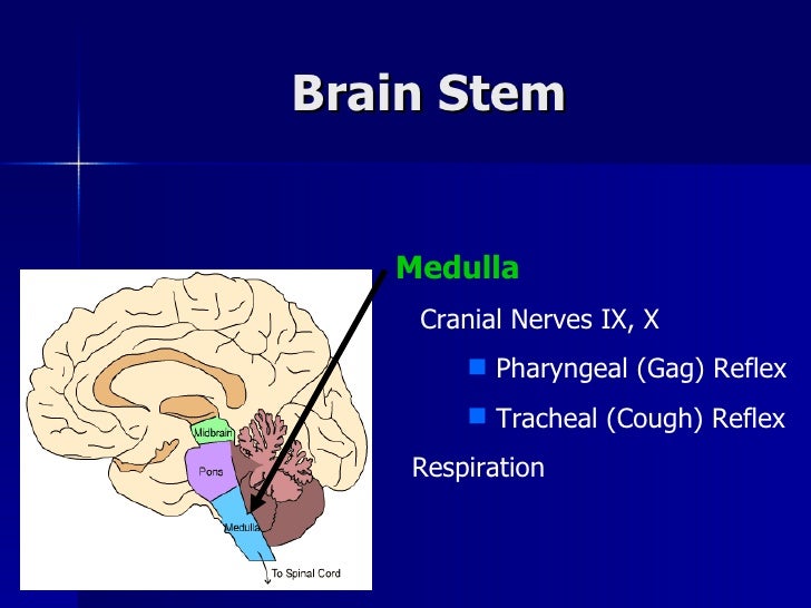 no gag reflex nerve no gag reflex nerve