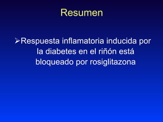 Resumen <ul><li>Respuesta inflamatoria inducida por la diabetes en el riñón está bloqueado por rosiglitazona </li></ul>