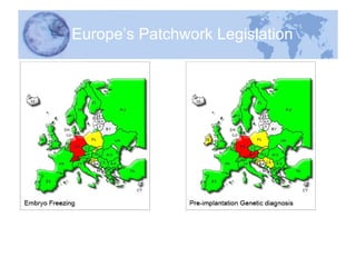 Europe’s Patchwork Legislation 