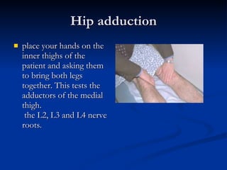 Hip adduction place your hands on the inner thighs of the patient and asking them to bring both legs together. This tests the adductors of the medial thigh.   the L2, L3 and L4 nerve roots.  