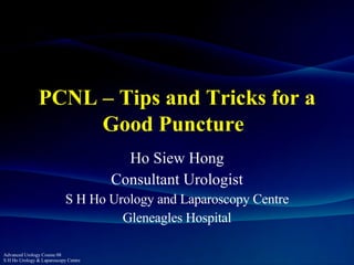 PCNL – Tips and Tricks for a Good Puncture   Ho Siew Hong Consultant Urologist S H Ho Urology and Laparoscopy Centre Gleneagles Hospital 