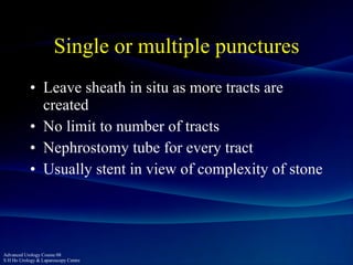 One Punctures PCNL - the Perfect Puncture | PPT