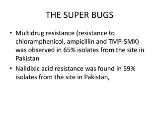 Treatment and the implications of Antibiotic ResistanceTHE SUPER BUGSStudy of typhoid fever from 5 asian countries gives dismal news on antimicrobial resistanceNearly 60% of the isolates were resistant to chloramphenicol, ampicillin, TMP-SMX and nalidixic acid.In contrast, all isolates from sites in China and Indonesia were susceptible to all antimicrobial agents  