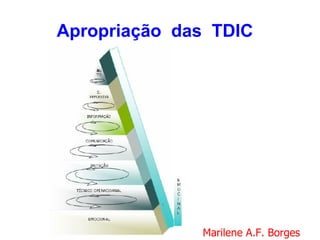 Apropriação das TDIC




              Marilene A.F. Borges
 