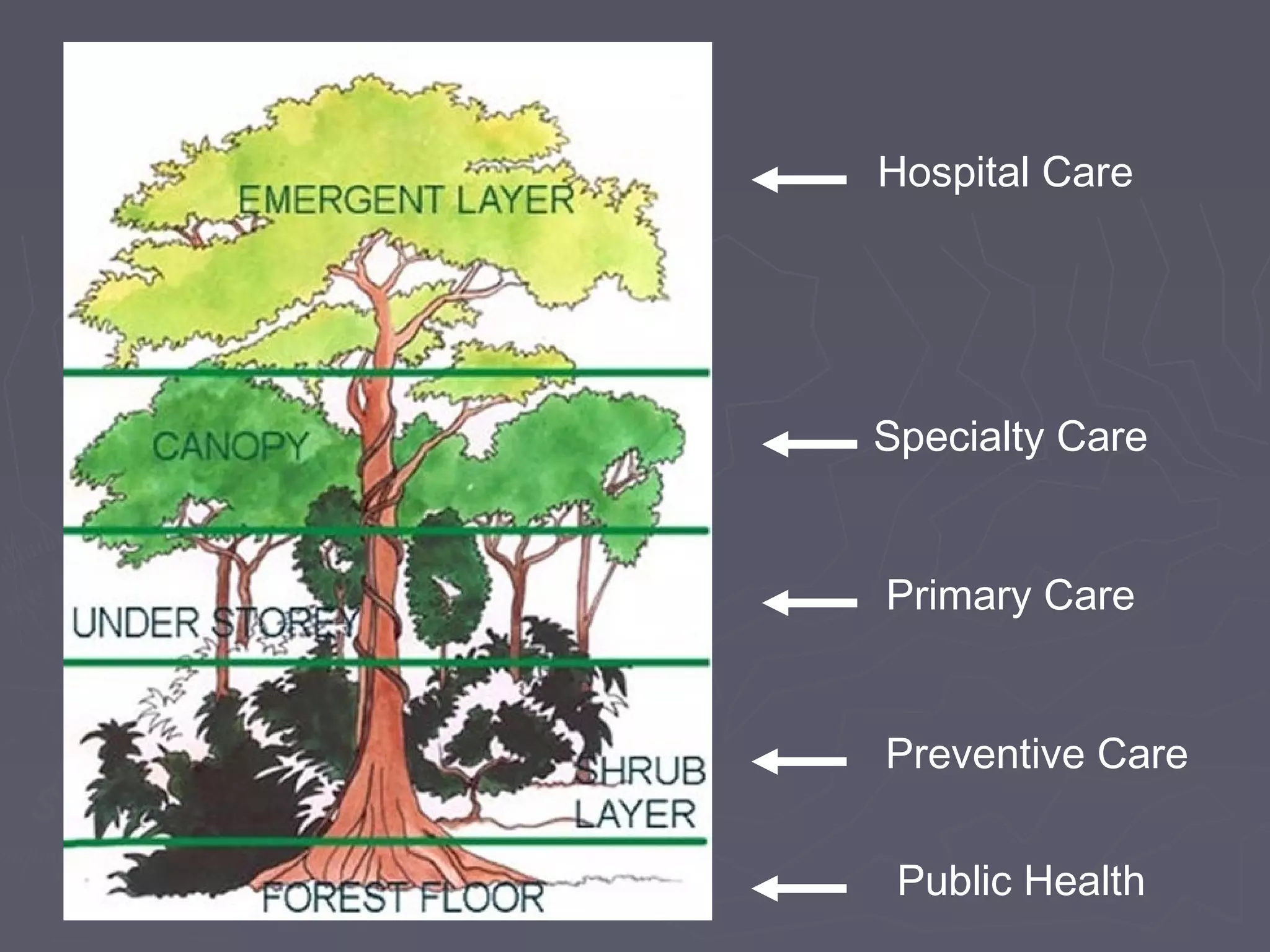 Public Health
Preventive Care
Primary Care
Specialty Care
Hospital Care
 