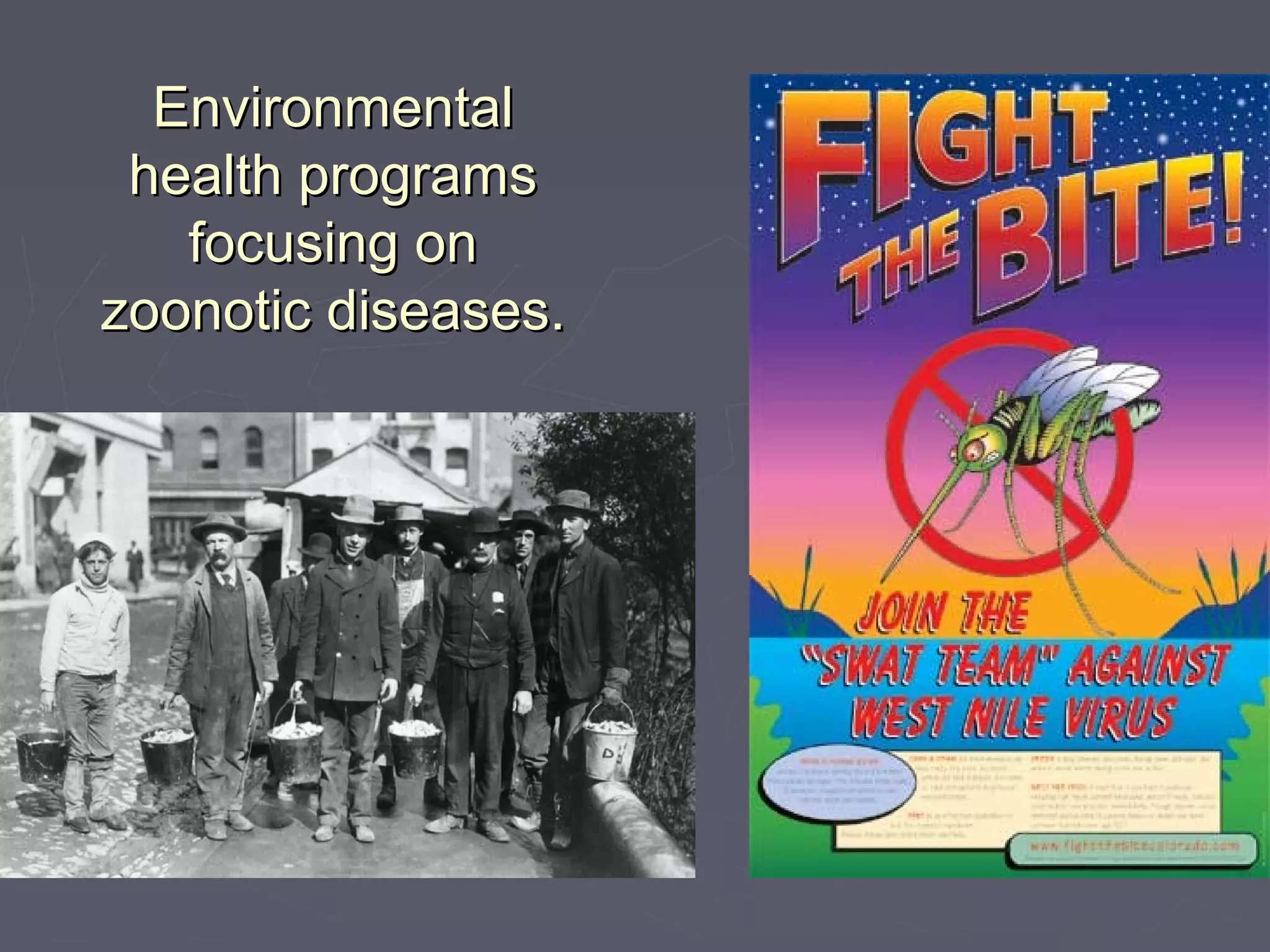 EnvironmentalEnvironmental
health programshealth programs
focusing onfocusing on
zoonotic diseases.zoonotic diseases.
 