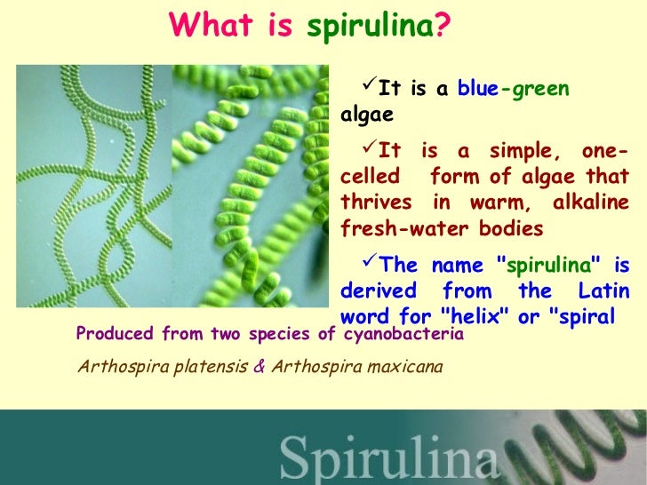 Dr.k.k.janardhanan spirulina