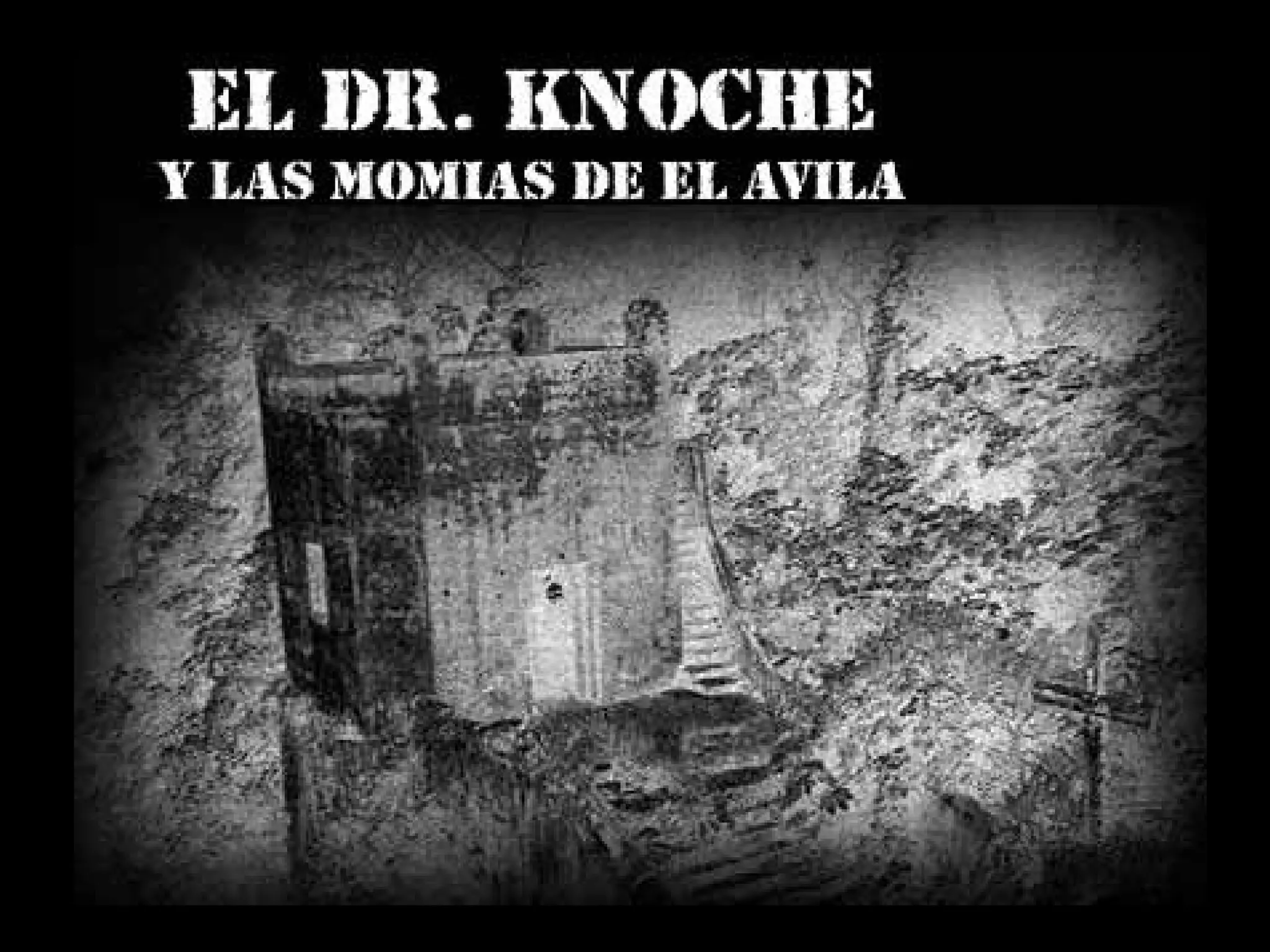 nose & aesthetics / dr. med. eckart knoche