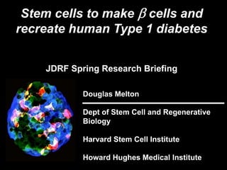 Stem cells to make β cells and
recreate human Type 1 diabetes


    JDRF Spring Research Briefing

            Douglas Melton

            Dept of Stem Cell and Regenerative
            Biology

            Harvard Stem Cell Institute

            Howard Hughes Medical Institute
 
