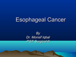 Esophageal Cancer

         By
   Dr. Monsif Iqbal
   PGT Surgical II


                      1
 