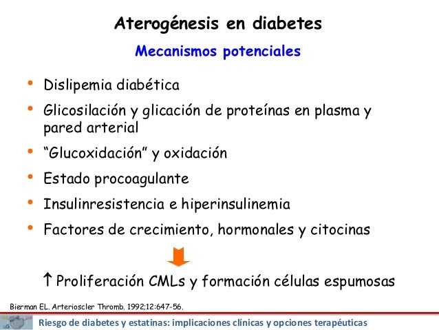 Impacto clínico de la diabetes en el riesgo cardiovascular Impacto clínico de la diabetes en el riesgo cardiovascular