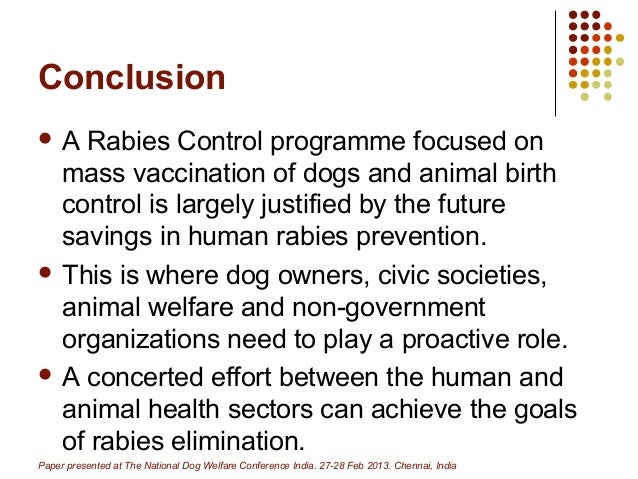 Can cats get rabies image