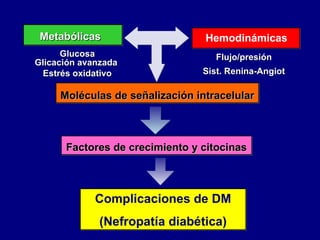 Factores de crecimiento y citocinas Metab ó licas Glucosa Glicaci ón avanzada   Estrés oxidativo Hemodin ámicas Flujo/pres...