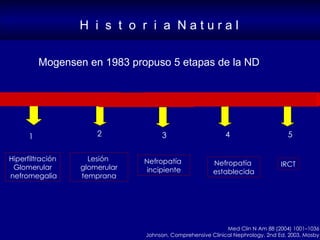 <ul><li>Mogensen en 1983 propuso 5 etapas de la ND </li></ul>H  i  s  t  o  r  i  a  N a t u r a l <ul><ul><li>1 </li></ul...