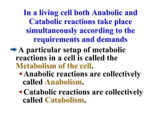 (Dr. saleem) overview of metabolism & bioenergetics i | PPS