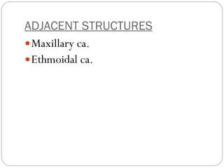 ADJACENT STRUCTURES Maxillary ca. Ethmoidal ca.  