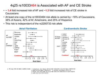 4q25 rs10033464 is Associated with AF and CE Stroke
• ~ 1.4 fold increased risk of AF and ~1.3 fold increased risk of CE stroke in
  Caucasians
• At least one copy of the rs10033464 risk allele is carried by ~18% of Caucasians,
  38% of Asians, 42% of Af. Americans, and 25% of Hispanics
• This risk is independent of the rs2200733 risk allele
                           Atrial Fibrillation                                                                          Cardioembolic Stroke




   a. Per copy of the risk allele in additive models 1.   Gudbjartsson, et al. Nature. 2007;48:353 Gretarsdottir, et al. Ann Neuro. 2008;64:402
                                                                                                  5.
                                                     2.   Kaab et al. Eur Heart J. 2009;30:813    6. Lemmens, et al.Stroke. 2010;41:00
                                                     3.   Kiliszek, et al. PLoS ONE. 2011;6:e21790 Celera and collaborators to submit 2Q2012
                                                                                                  7.
                                                     4.   Lubitz, et al. Circ. 2010;122:976
 