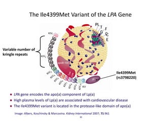 The Ile4399Met Variant of the LPA Gene
                                                                   PL
                                                                        T F
                                                                        G C
                                                                           C
                                                                           E

Variable number of
kringle repeats



                                                                                 Ile4399Met
                                                                                 (rs3798220)



   ● LPA gene encodes the apo(a) component of Lp(a)
   ● High plasma levels of Lp(a) are associated with cardiovascular disease
   ● The Ile4399Met variant is located in the protease-like domain of apo(a)
      Image: Albers, Koschinsky & Marcovina. Kidney International 2007; 71:961
                                                       30
 