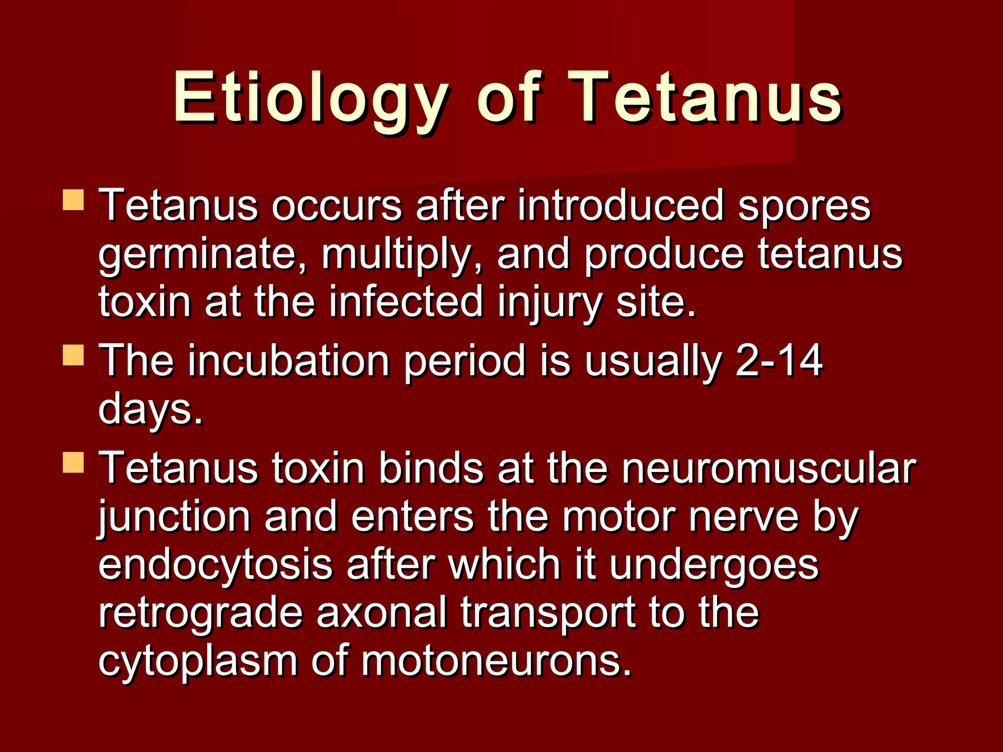 Etiology of TetanusEtiology of Tetanus
 Tetanus occurs after introduced sporesTetanus occurs after introduced spores
germinate, multiply, and produce tetanusgerminate, multiply, and produce tetanus
toxin at the infected injury site.toxin at the infected injury site.
 The incubation period is usually 2-14The incubation period is usually 2-14
days.days.
 Tetanus toxin binds at the neuromuscularTetanus toxin binds at the neuromuscular
junction and enters the motor nerve byjunction and enters the motor nerve by
endocytosis after which it undergoesendocytosis after which it undergoes
retrograde axonal transport to theretrograde axonal transport to the
cytoplasm of motoneurons.cytoplasm of motoneurons.
 