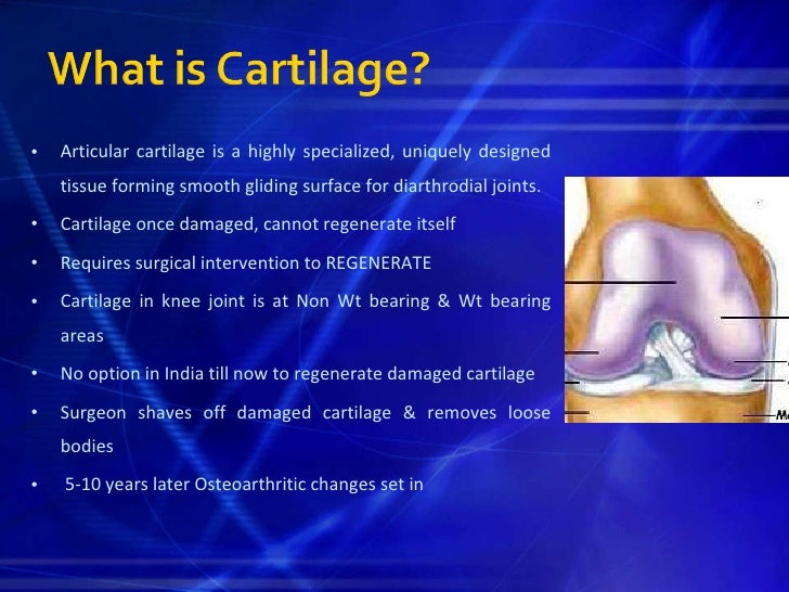 Does knee cartilage grow back?