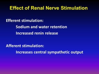 Effect of Renal Nerve Stimulation

Efferent stimulation:
      Sodium and water retention
      Increased renin release

Afferent stimulation:
     Increases central sympathetic output
 