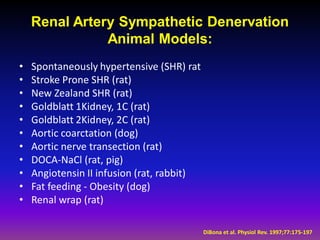 Renal Artery Sympathetic Denervation
               Animal Models:
•   Spontaneously hypertensive (SHR) rat
•   Stroke Prone SHR (rat)
•   New Zealand SHR (rat)
•   Goldblatt 1Kidney, 1C (rat)
•   Goldblatt 2Kidney, 2C (rat)
•   Aortic coarctation (dog)
•   Aortic nerve transection (rat)
•   DOCA-NaCl (rat, pig)
•   Angiotensin II infusion (rat, rabbit)
•   Fat feeding - Obesity (dog)
•   Renal wrap (rat)

                                            DiBona et al. Physiol Rev. 1997;77:175-197
 