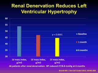 Renal Denervation Reduces Left
          Ventricular Hypertrophy
60

55

50
                                             p < 0.0001                   Baseline
45
                                                                          1 month
40

35                                                                        6 months

30
        LV mass index,     LV mass index,     LV mass index,
            g/m2                g/m2              g/m2
     46 patients after renal denervation: BP reduced 27/8.8 mmHg at 6 months
                                                   Brandt MD. J Am Coll Cardiol 2012; 59:901-909
 