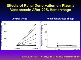 Effects of Renal Denervation on Plasma
  Vasopressin After 20% Hemorrhage

  Control sheep                          Renal denervated sheep




          Smith F G , Abu-Amarah I Am J Physiol Heart Circ Physiol 1998;275:H285-H291
 