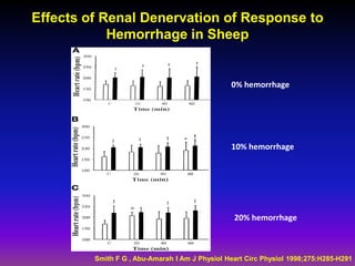 Effects of Renal Denervation of Response to
            Hemorrhage in Sheep


                                                0% hemorrhage




                                                10% hemorrhage




                                                 20% hemorrhage



         Smith F G , Abu-Amarah I Am J Physiol Heart Circ Physiol 1998;275:H285-H291
 