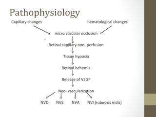 Pathophysiology
Capillary changes hematological changes
micro vascular occlusion
Retinal capillary non- perfusion
Tissue hypoxia
Retinal ischemia
Release of VEGF
Neo- vascularization
NVD NVE NVA NVI (rubeosis iridis)
 