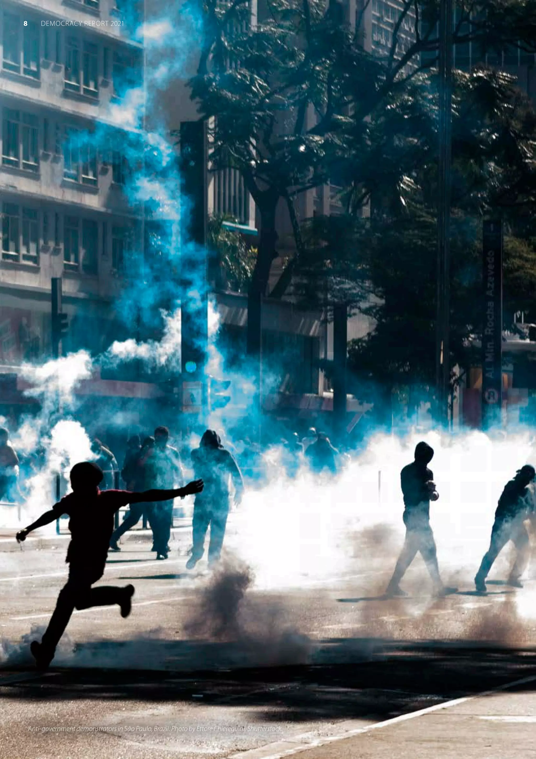 Anti-government demonstrators in São Paulo, Brazil. Photo by Ettore Chiereguini, Shutterstock.
8 DEMOCRACY REPORT 2021
 