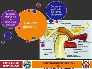 UNIVERSIDAD MICHOACANA 
DE 
SAN NICOLÁS DE HIDALGO 
FACULTAD DE 
ODONTOLOGÍA 
 