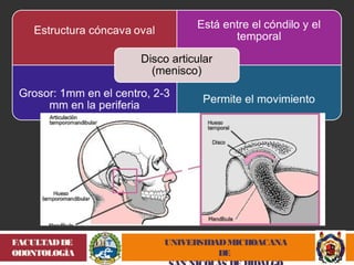 UNIVERSIDAD MICHOACANA 
DE 
SAN NICOLÁS DE HIDALGO 
FACULTAD DE 
ODONTOLOGÍA 
 