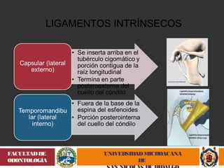 LIGAMENTOS INTRÍNSECOS 
UNIVERSIDAD MICHOACANA 
DE 
SAN NICOLÁS DE HIDALGO 
FACULTAD DE 
ODONTOLOGÍA 
 