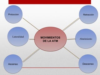 PPrroottuucccciioonn RReettrraacccciióónn 
MOVIMIENTOS 
DE LA ATM 
LLaatteerraalliiddaadd 
AAbbaattiimmiieennttoo 
AAsscceennssoo DDeesscceennssoo 
 