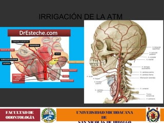 UNIVERSIDAD MICHOACANA 
DE 
SAN NICOLÁS DE HIDALGO 
FACULTAD DE 
ODONTOLOGÍA 
IRRIGACIÓN DE LA ATM 
 
