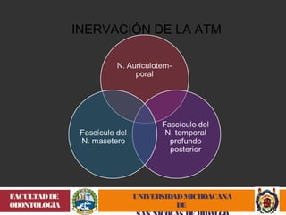 UNIVERSIDAD MICHOACANA 
DE 
SAN NICOLÁS DE HIDALGO 
FACULTAD DE 
ODONTOLOGÍA 
INERVACIÓN DE LA ATM 
 