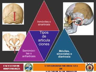 UNIVERSIDAD MICHOACANA 
DE 
SAN NICOLÁS DE HIDALGO 
FACULTAD DE 
ODONTOLOGÍA 
 