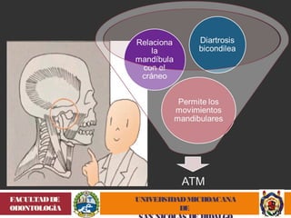 UNIVERSIDAD MICHOACANA 
DE 
SAN NICOLÁS DE HIDALGO 
FACULTAD DE 
ODONTOLOGÍA 
 